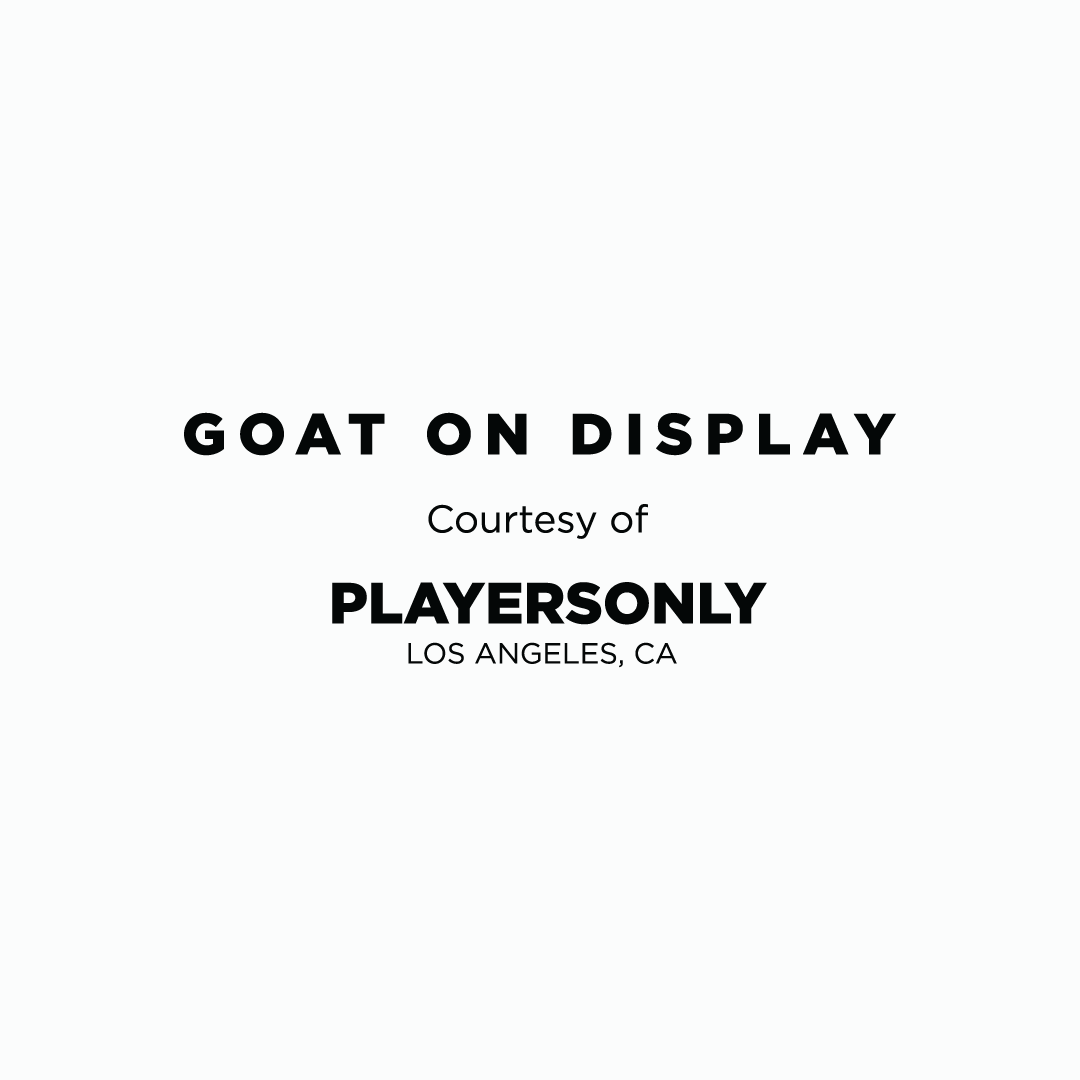 Goat on Display